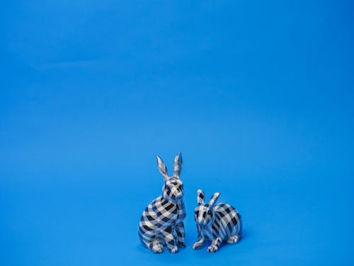 คลังภาพถ่ายฟรี ของ กระต่าย, กระต่ายอีสเตอร์, การตกแต่งอีสเตอร์