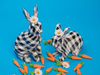 Two Checkered Rabbits with Flowers Between Their Ears