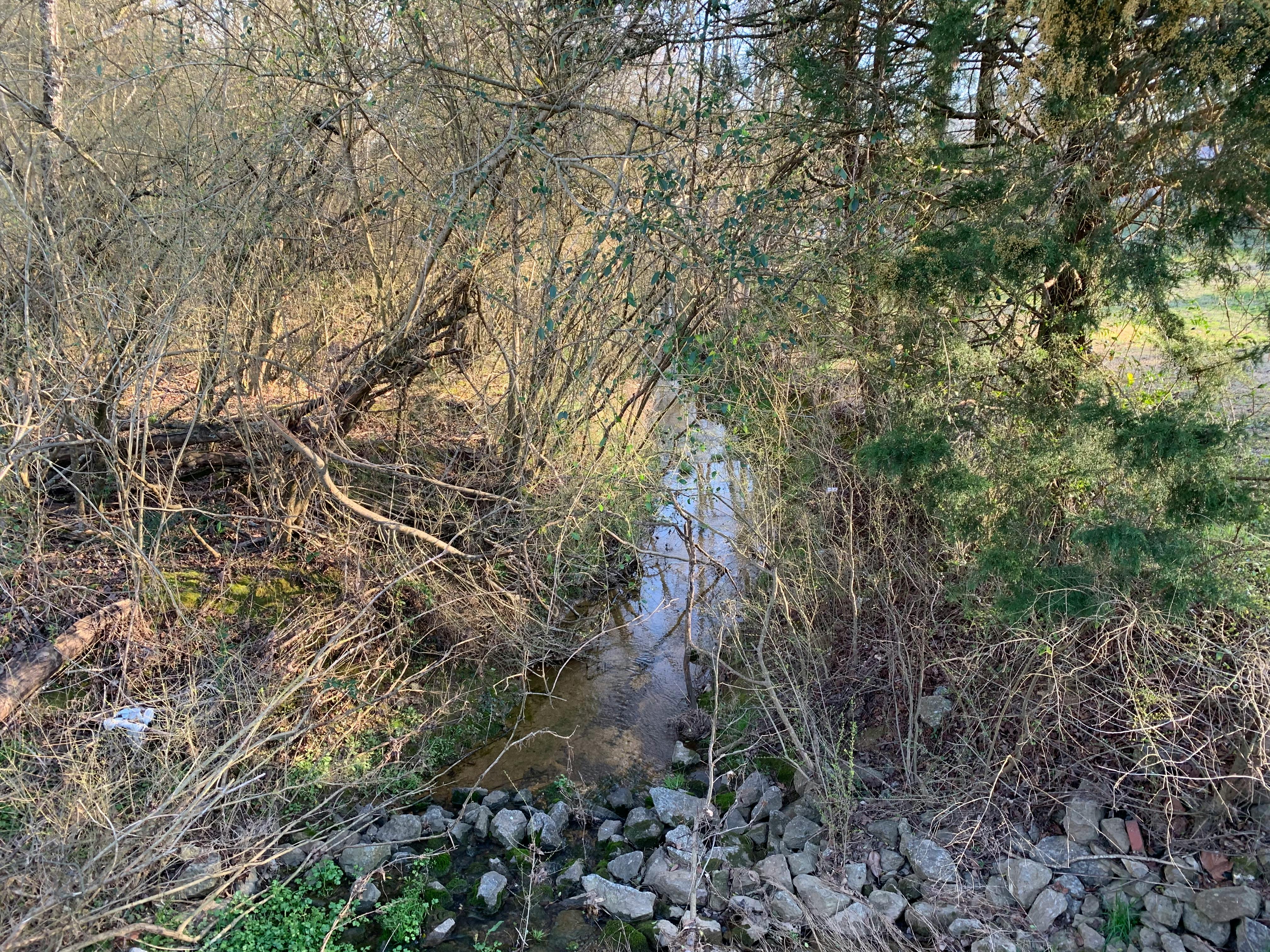 Free stock photo from Mia · Pexels