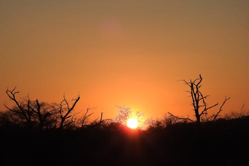 Бесплатное стоковое фото с африканский закат