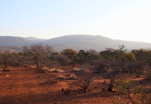 Free stock photo of limpopo province Stock Photo