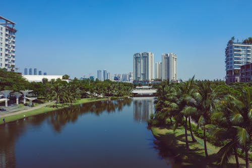 Lake Surrounded By Green Grass and Tall Trees 