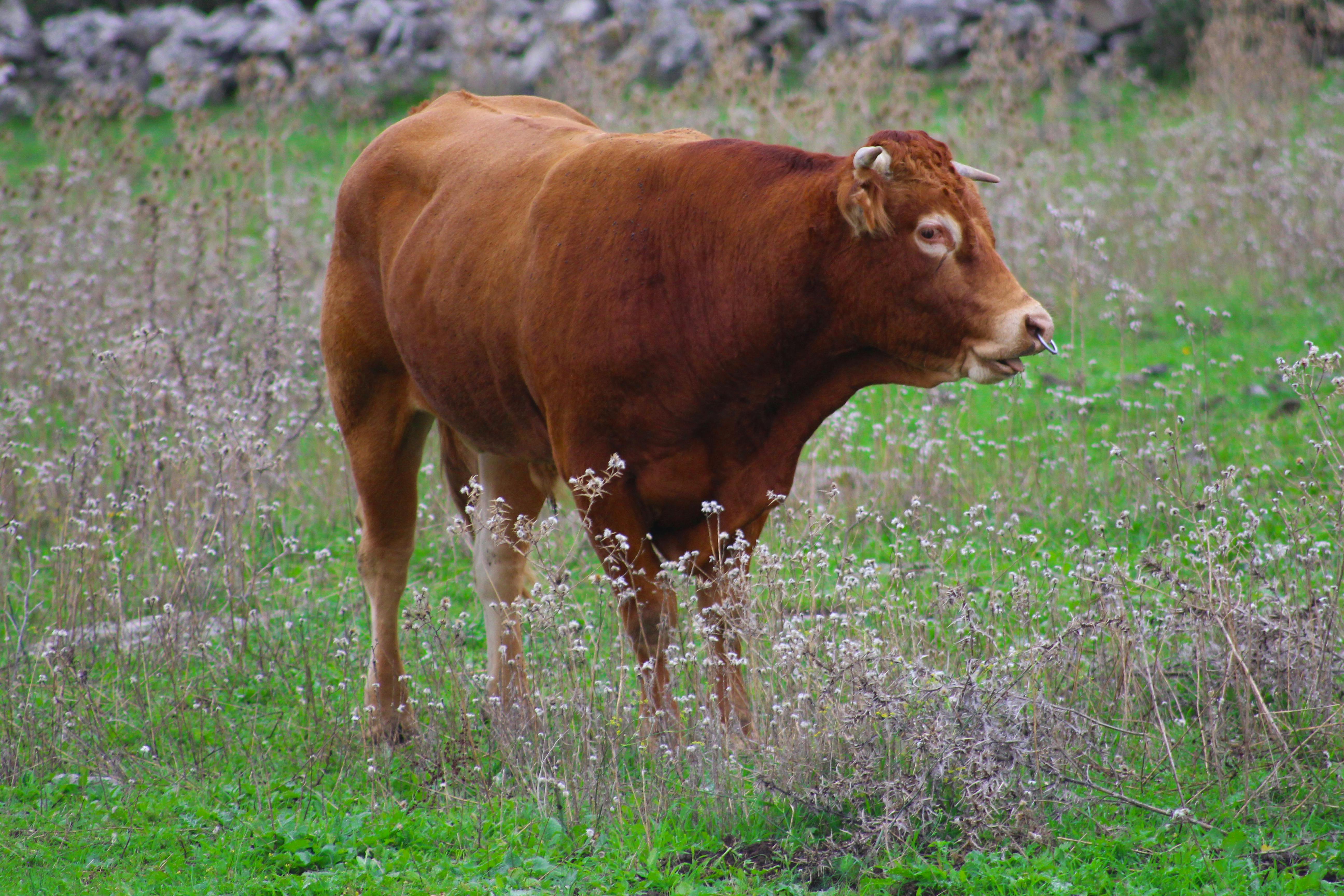 Fabio Tedde Photography