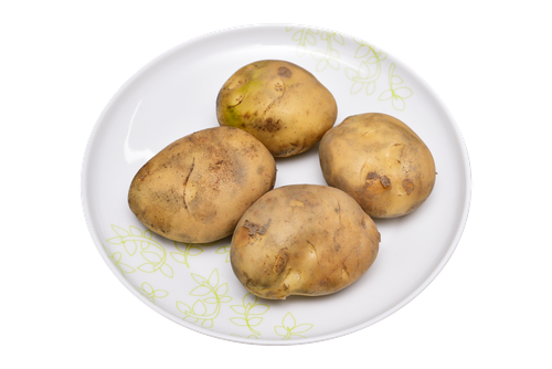 Free stock photo of food, plant, potato Stock Photo