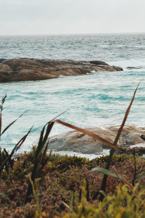 Rocky seashore covered with grass against cloudy sunset sky