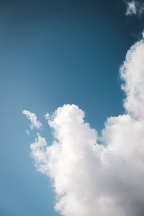 Free From below of white soft cumulus clouds floating in clear blue sky on sunny day Stock Photo