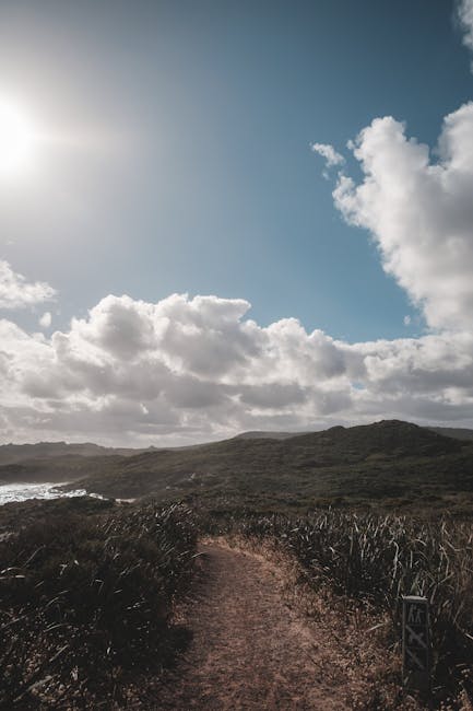 7,000+ Best Scene Photos Â· 100% Free Download Â· Pexels Stock Photos