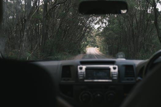 Through inside automobile windshield view of empty roadway between green trees on summer day