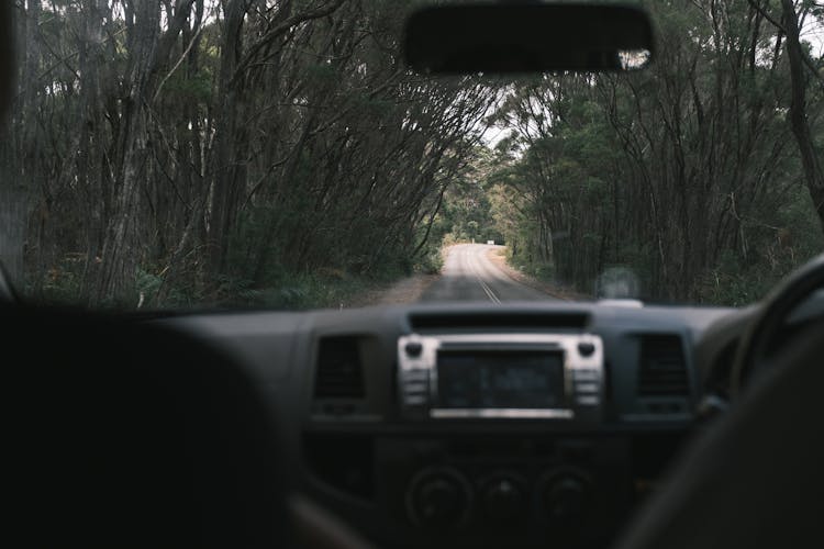 Car On Narrow Road Between Trees In Daytime