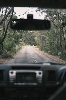 Through inside auto windshield view of empty asphalt road between overgrown green trees in daylight