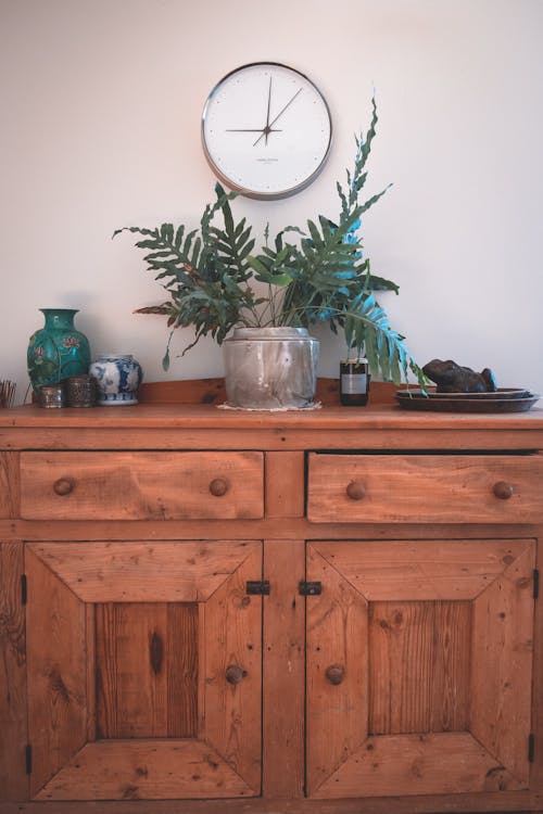 Free Timber aged cabinet with vases and green plant with fresh leaves under clock on wall Stock Photo