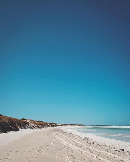 Picturesque sandy coast washed by calm water of tranquil ocean under cloudless blue sky