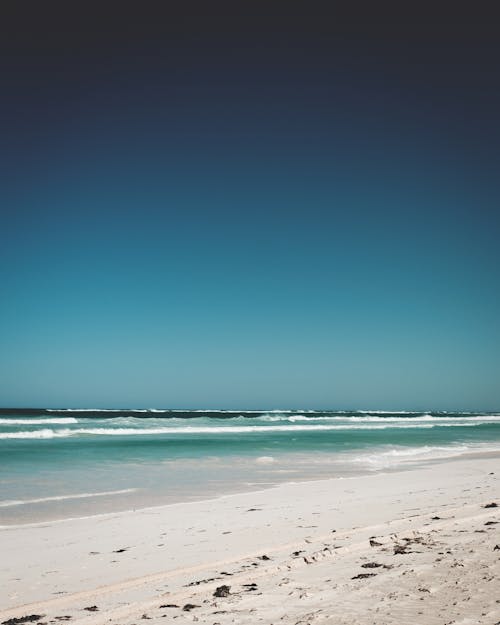 Sandy coast of wavy powerful ocean under cloudless blue sky