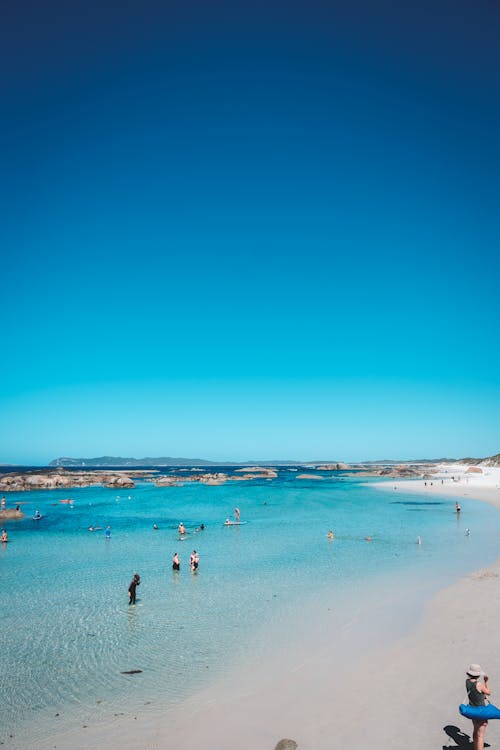 People resting and swimming in ocean and on sandy shore