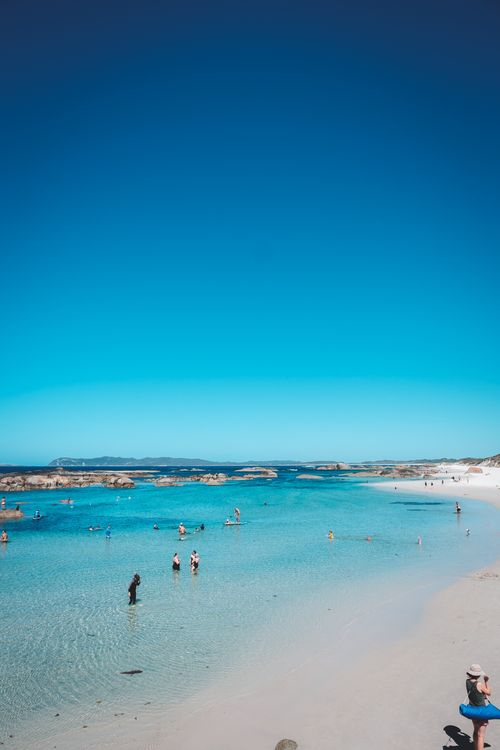 Free Many people resting in clean turquoise water of ocean with sandy shore under cloudless bright blue sky Stock Photo