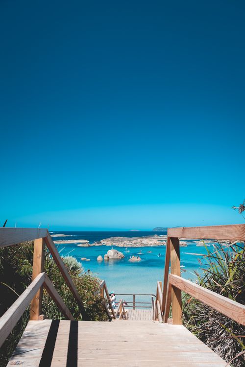 Free Staircase with railings between green plants leading to endless sea with stones against blue sky in tropical resort in nature Stock Photo