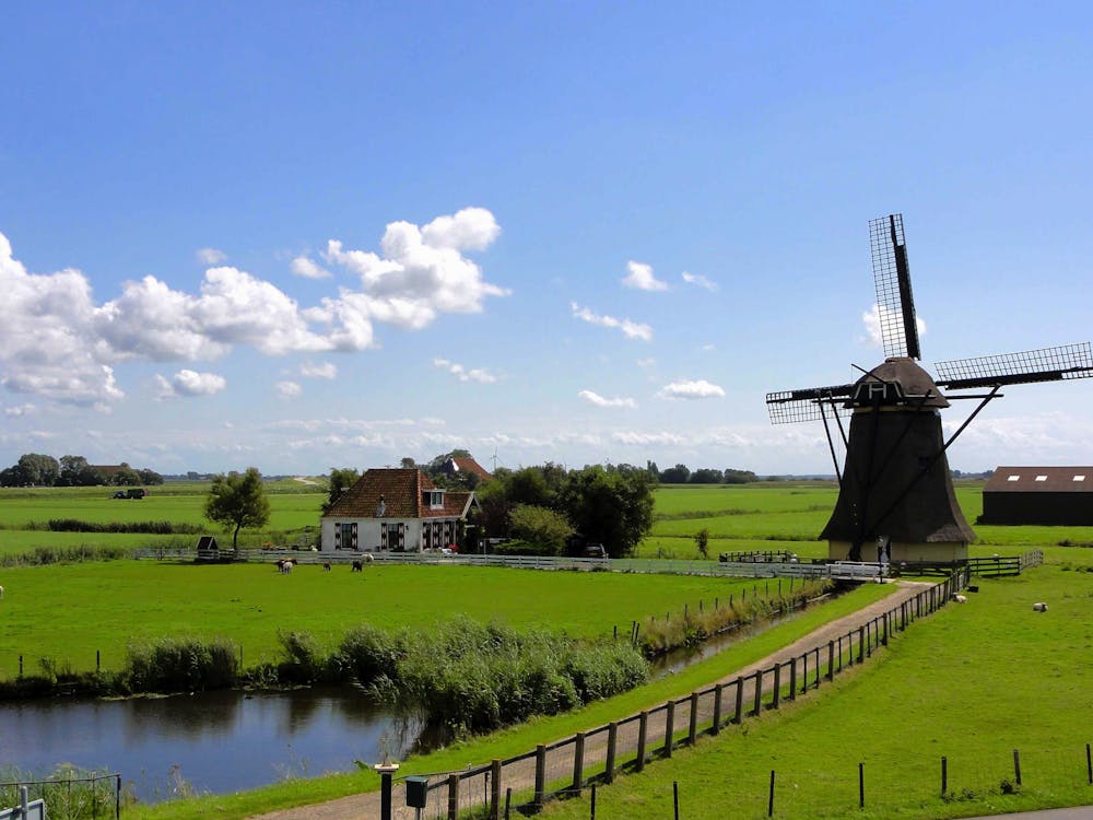 Windmühle Umgeben Von Grasfeld