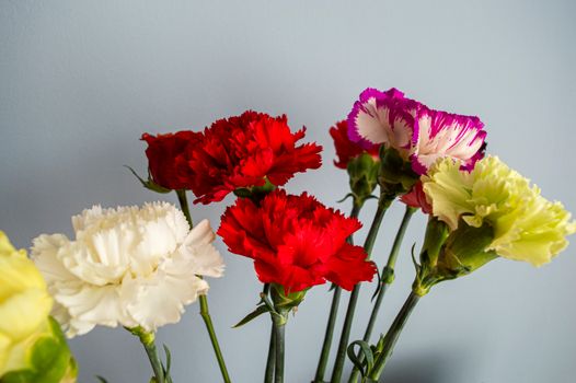 Assorted Colors of a Bunch of Flowers