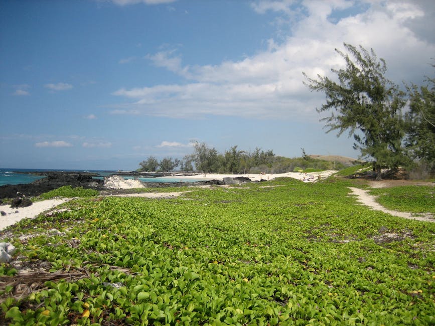 free-stock-photo-of-big-island-hawaii-makalawena