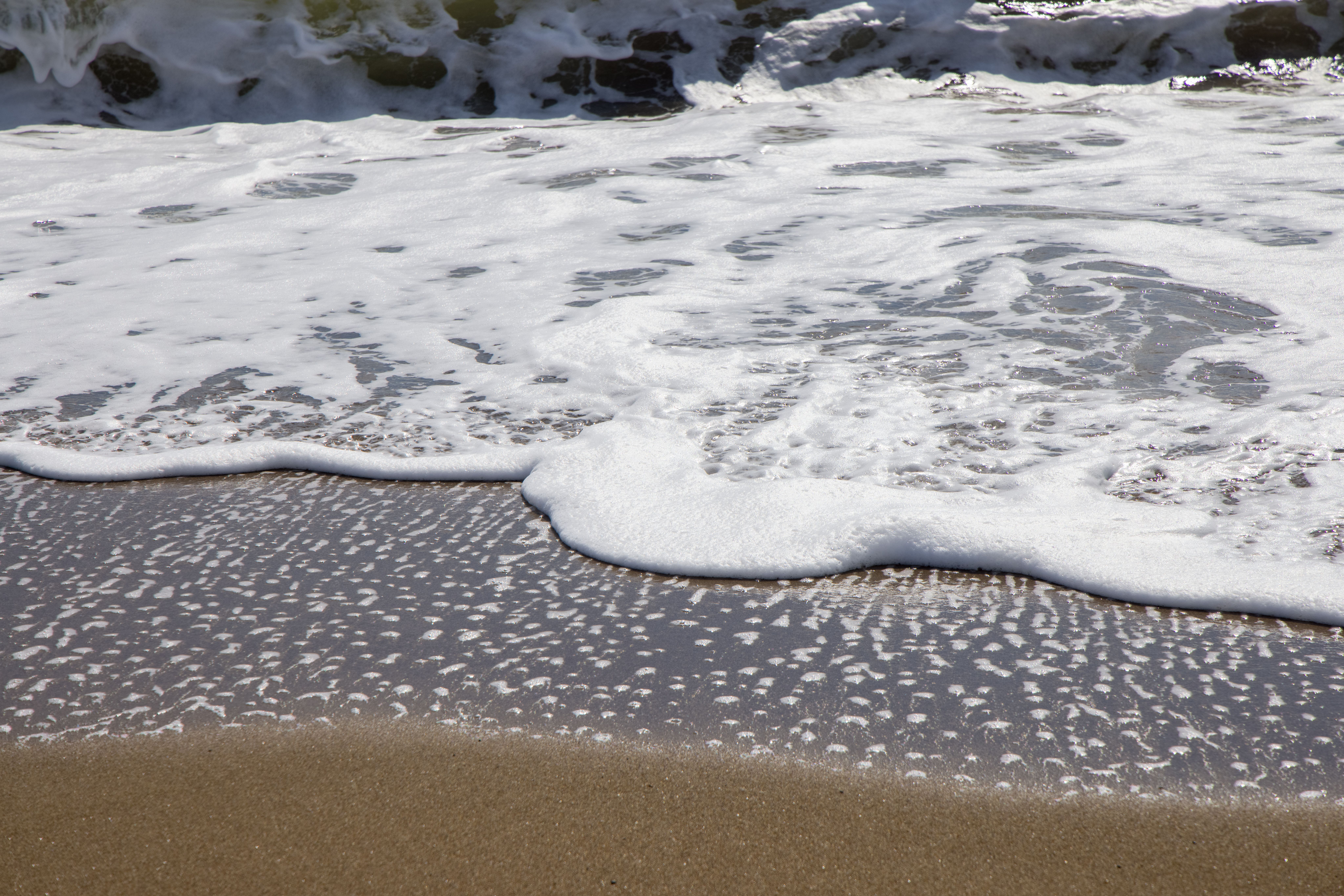 Foamy Sea Waves on the Shore · Free Stock Photo