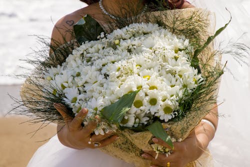 Darmowe zdjęcie z galerii z białe kwiaty, bukiet, delikatny