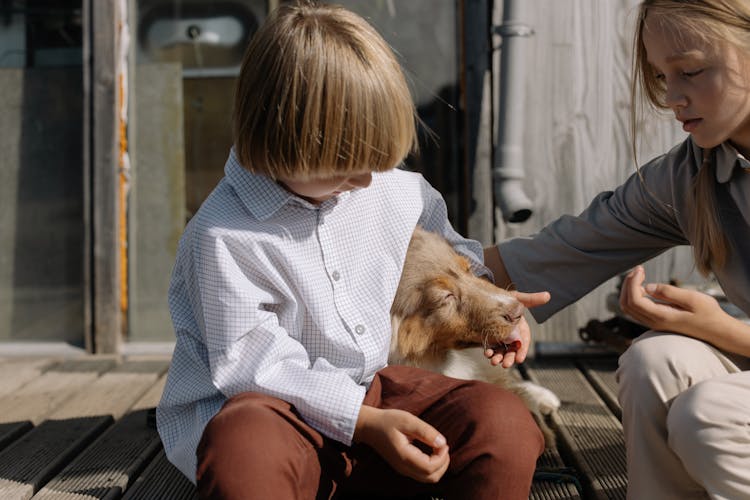 Boy Feeding His Dog