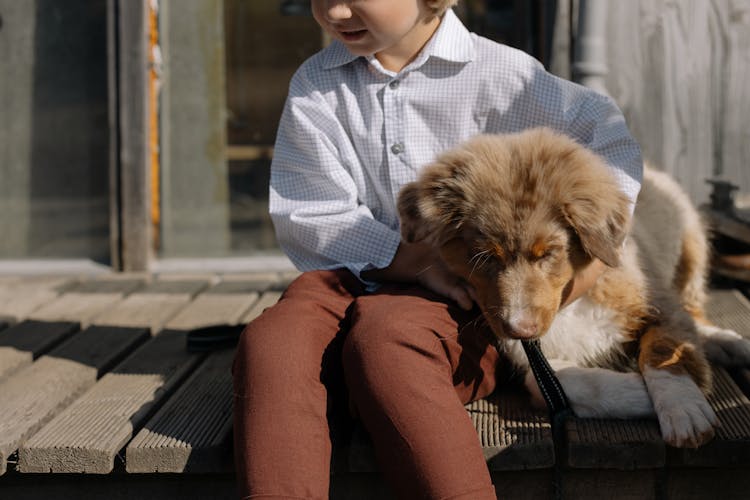 A Child Petting His Brown Dog