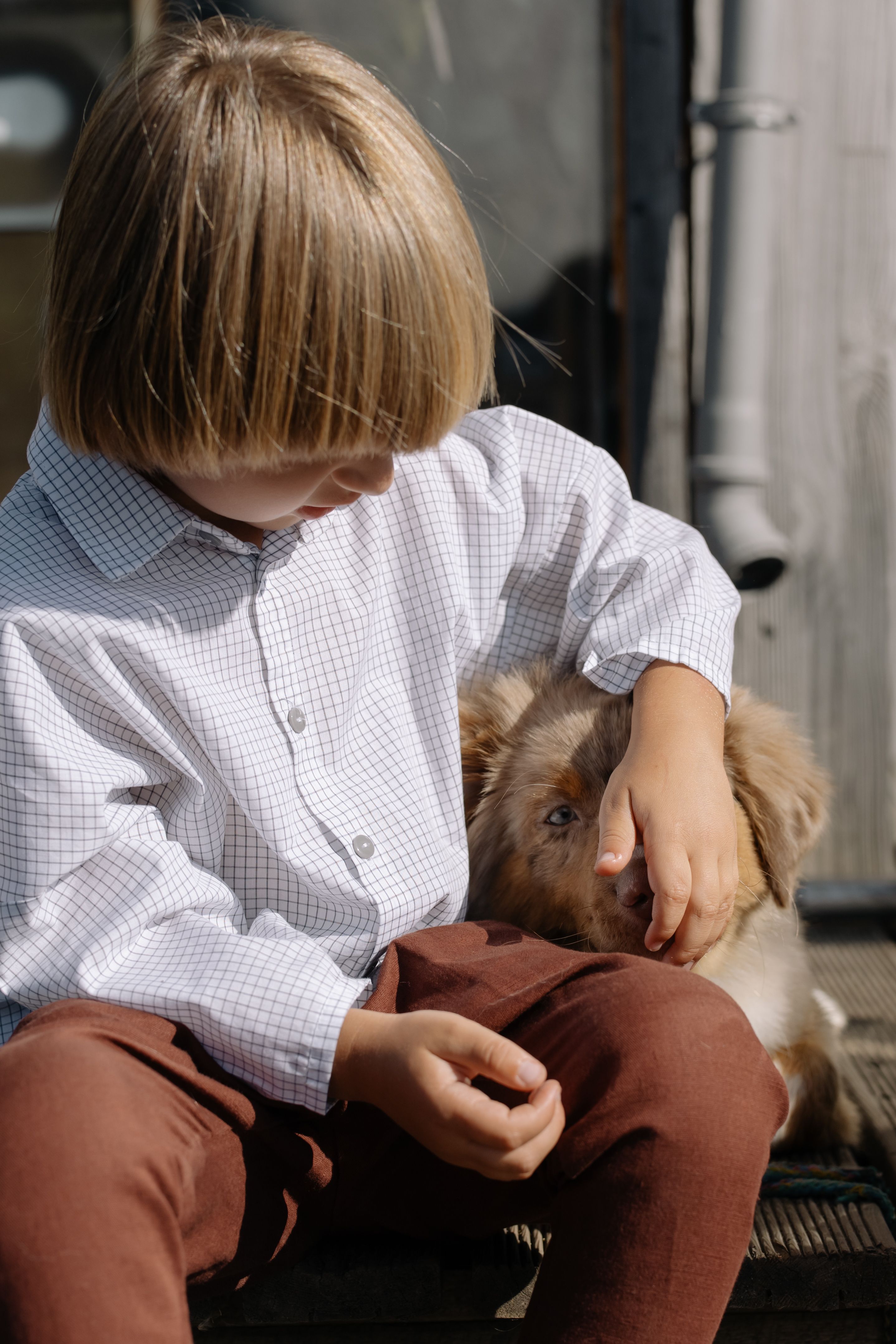 Child sitting with an Australian Shepherd puppy, sharing a tender moment outdoors.