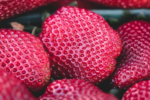 Gratis lagerfoto af delikat, frugt, jordbær