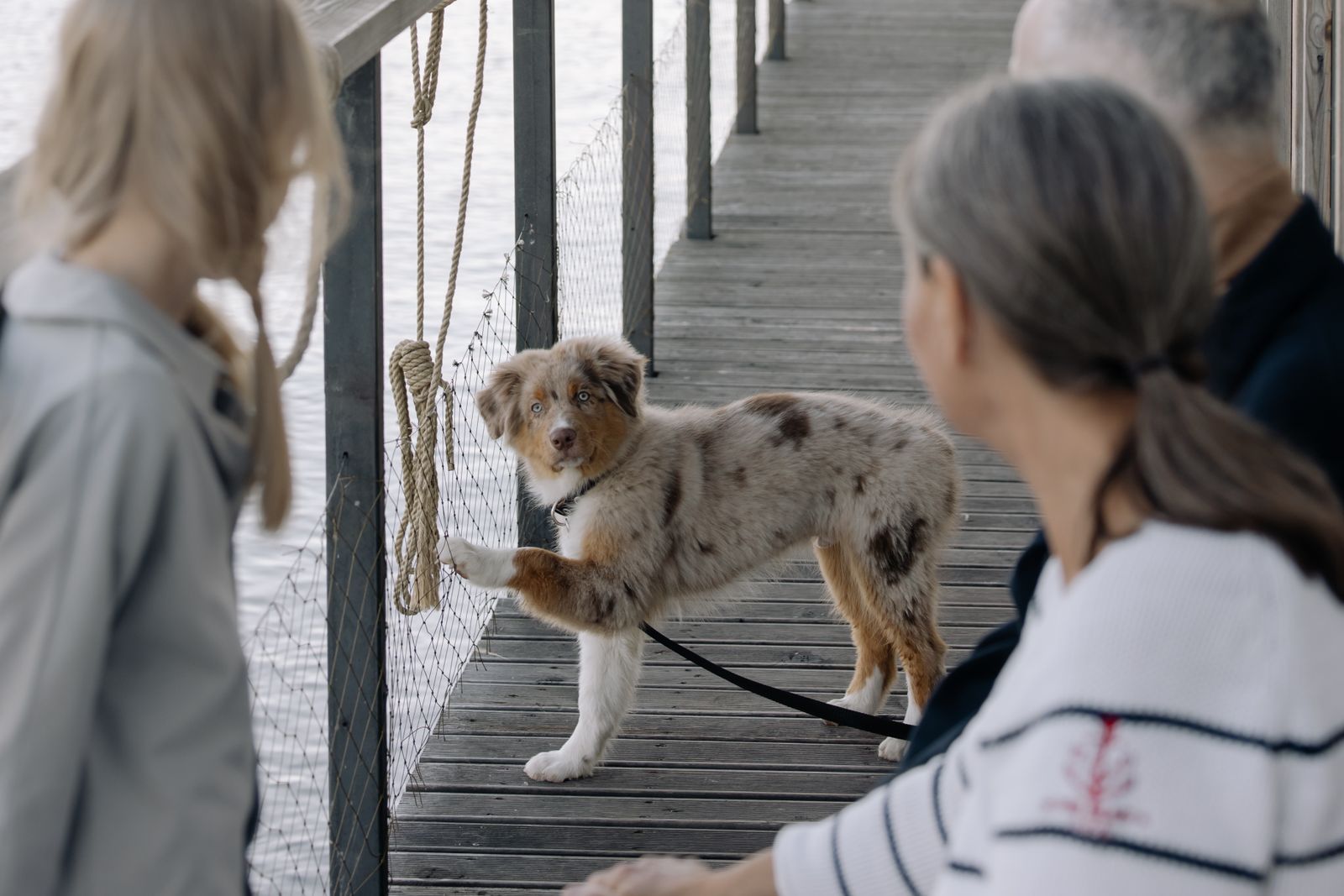 A family enjoying a warm moment with their dog