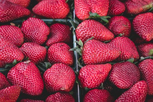 Free Red Whole Strawberries Stock Photo