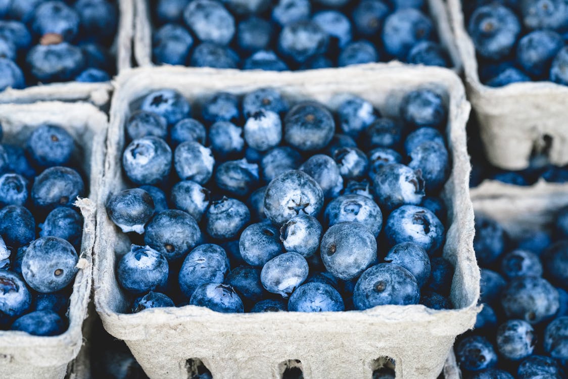 Free Blueberry Fruit on Gray Container Stock Photo