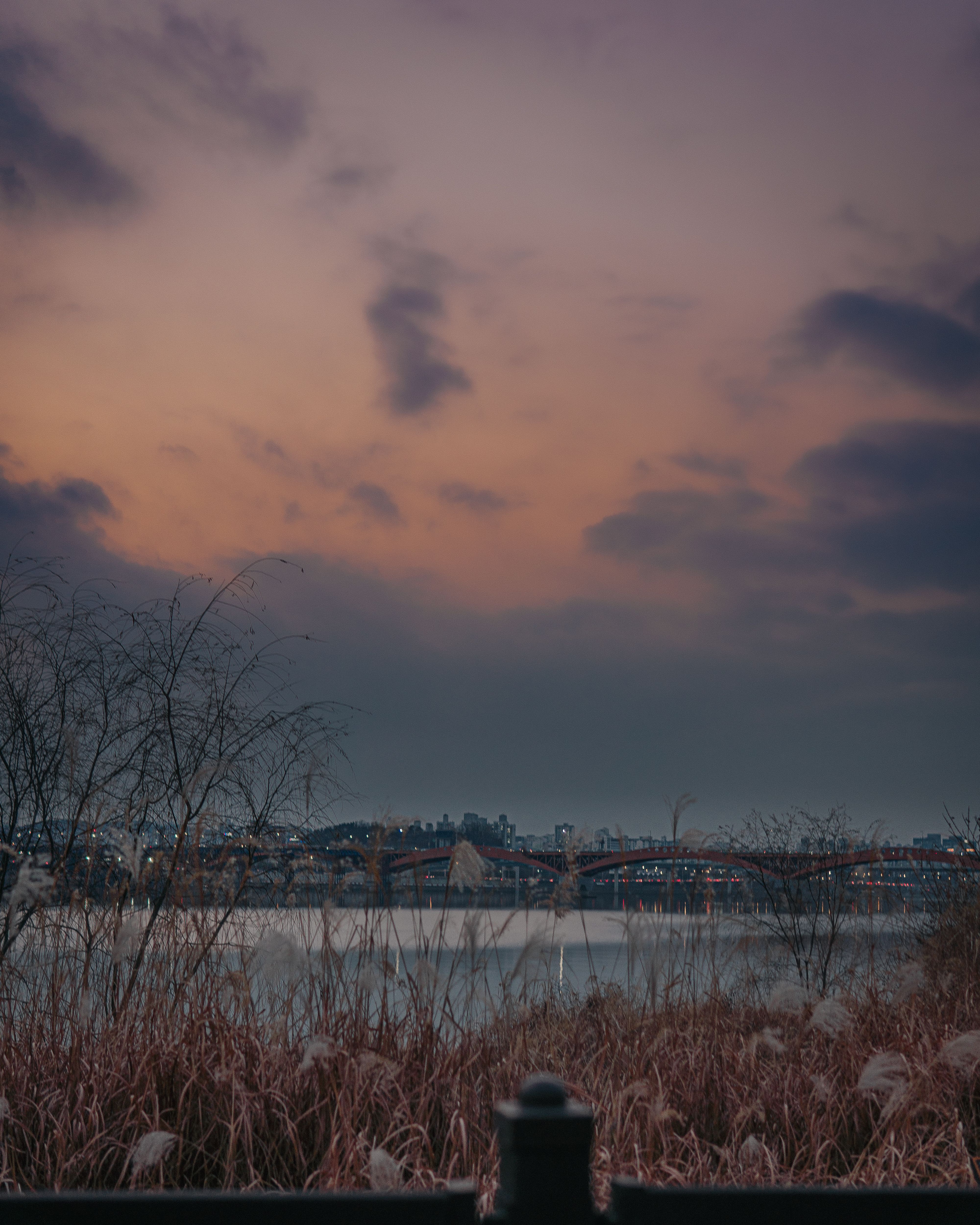 han river park windy autumn