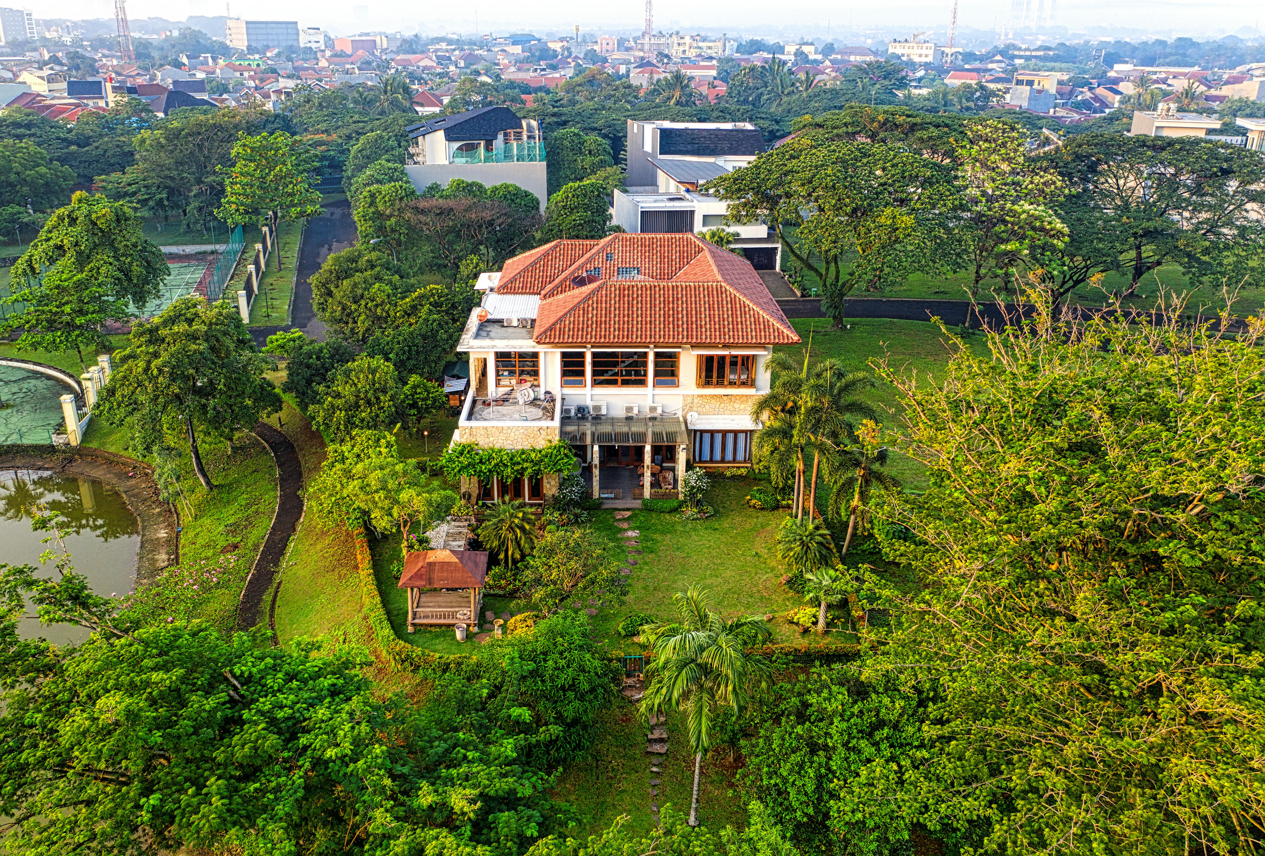 Building Your Own Backyard Pond