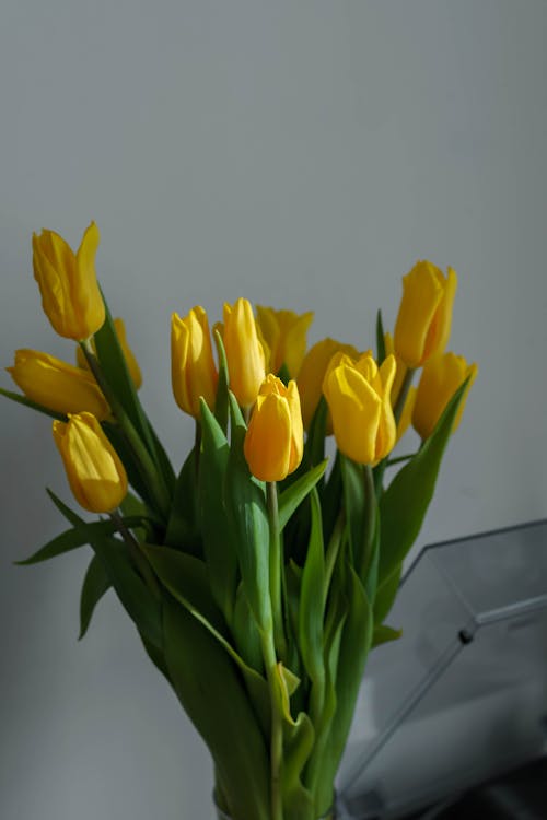 A Bouquet of Yellow Tulips 