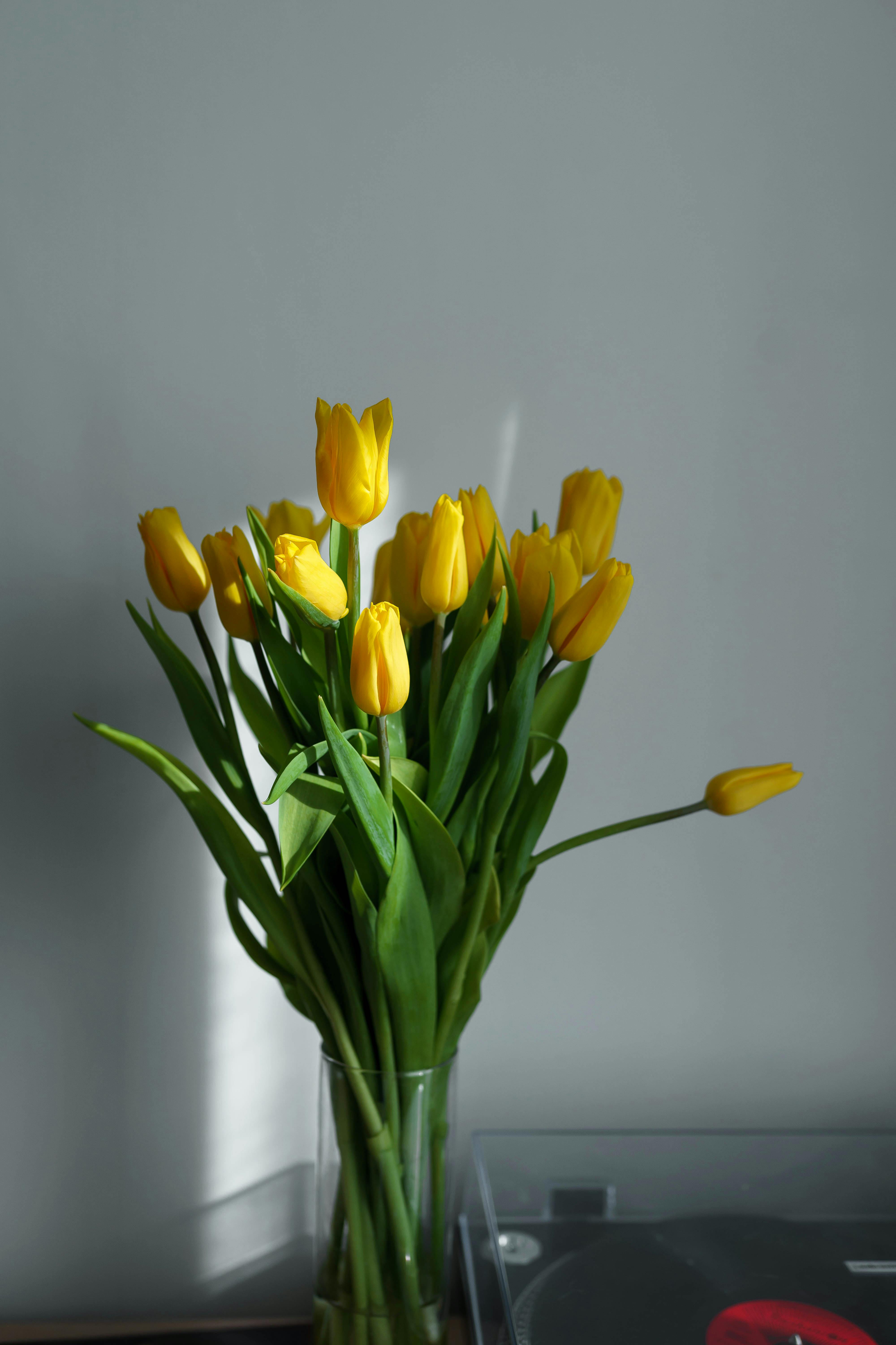 Photo of Tulips In Flower Vase · Free Stock Photo