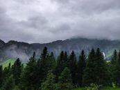 Green Pine Trees Near Mountain Under White Clouds