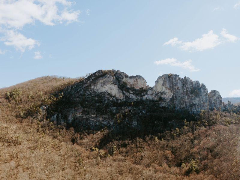 A rocky fin rising above forest