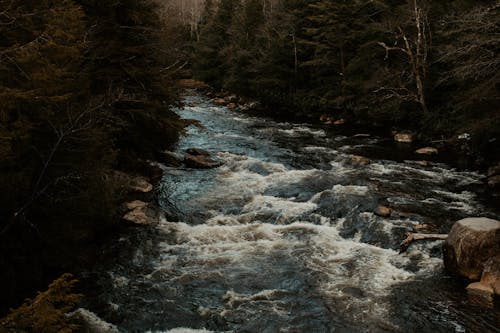 免費 天性, 小河, 岩石 的 免費圖庫相片 圖庫相片