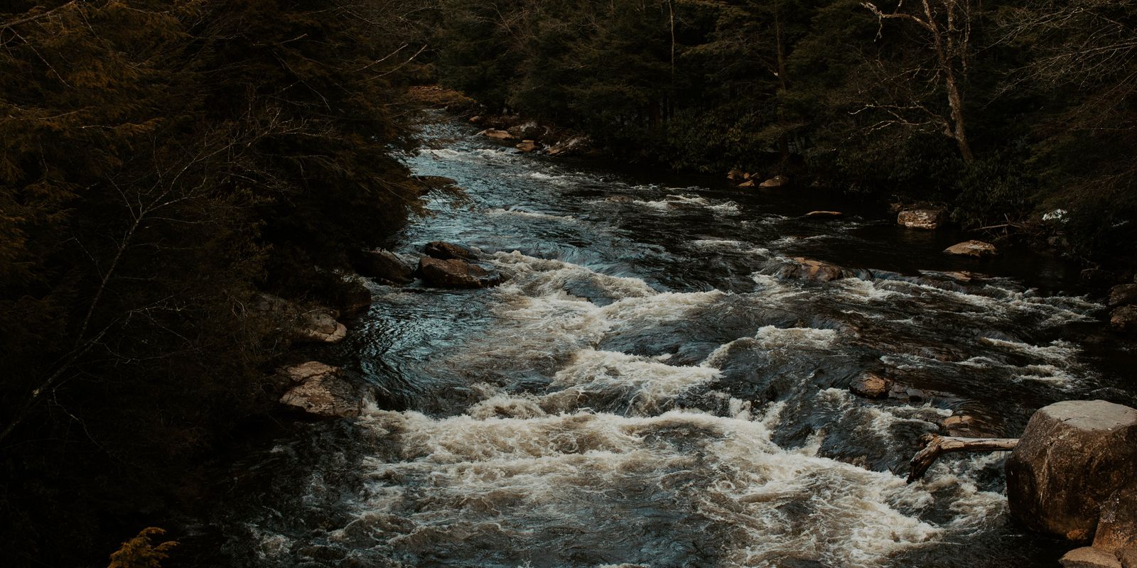 A flowing river winding through a lush West Virginia forest