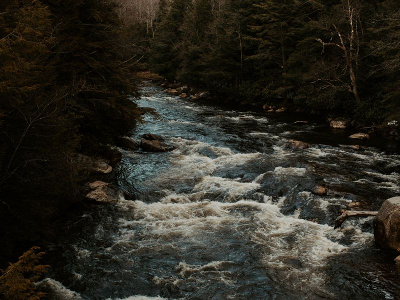 A clear mountain river flowing through a West Virginia forest