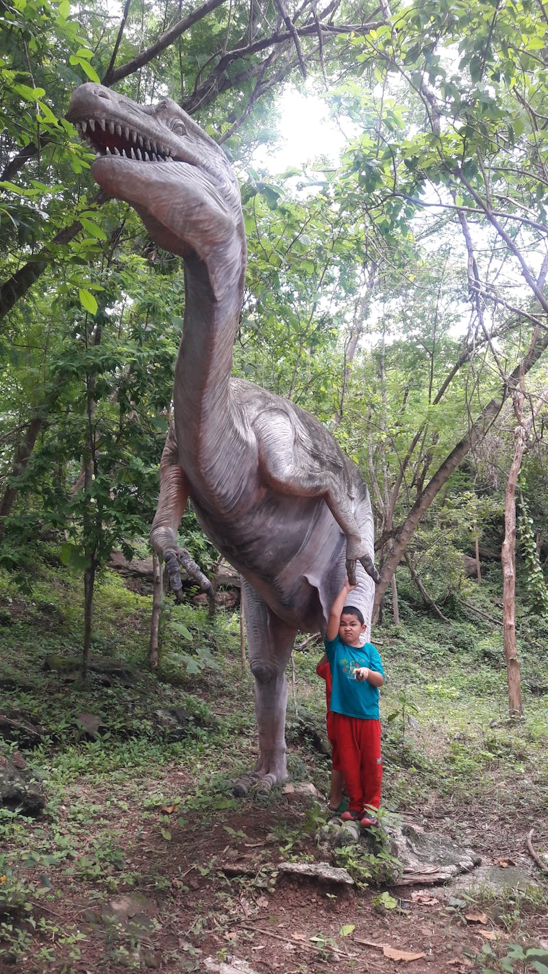 Professional Audio Interface 8-Channel