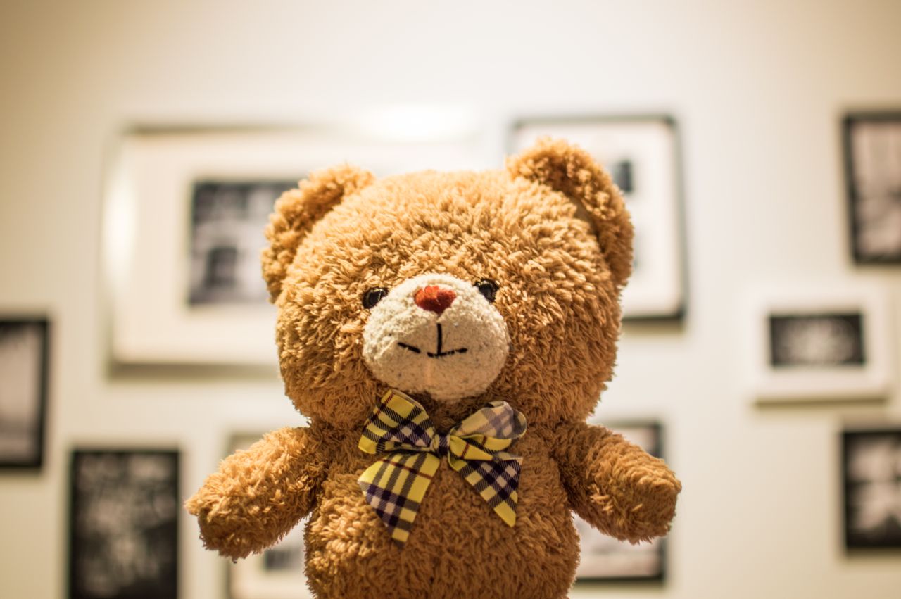 a cute teddy bear with a bowtie in focus surrounded by blurred photo f