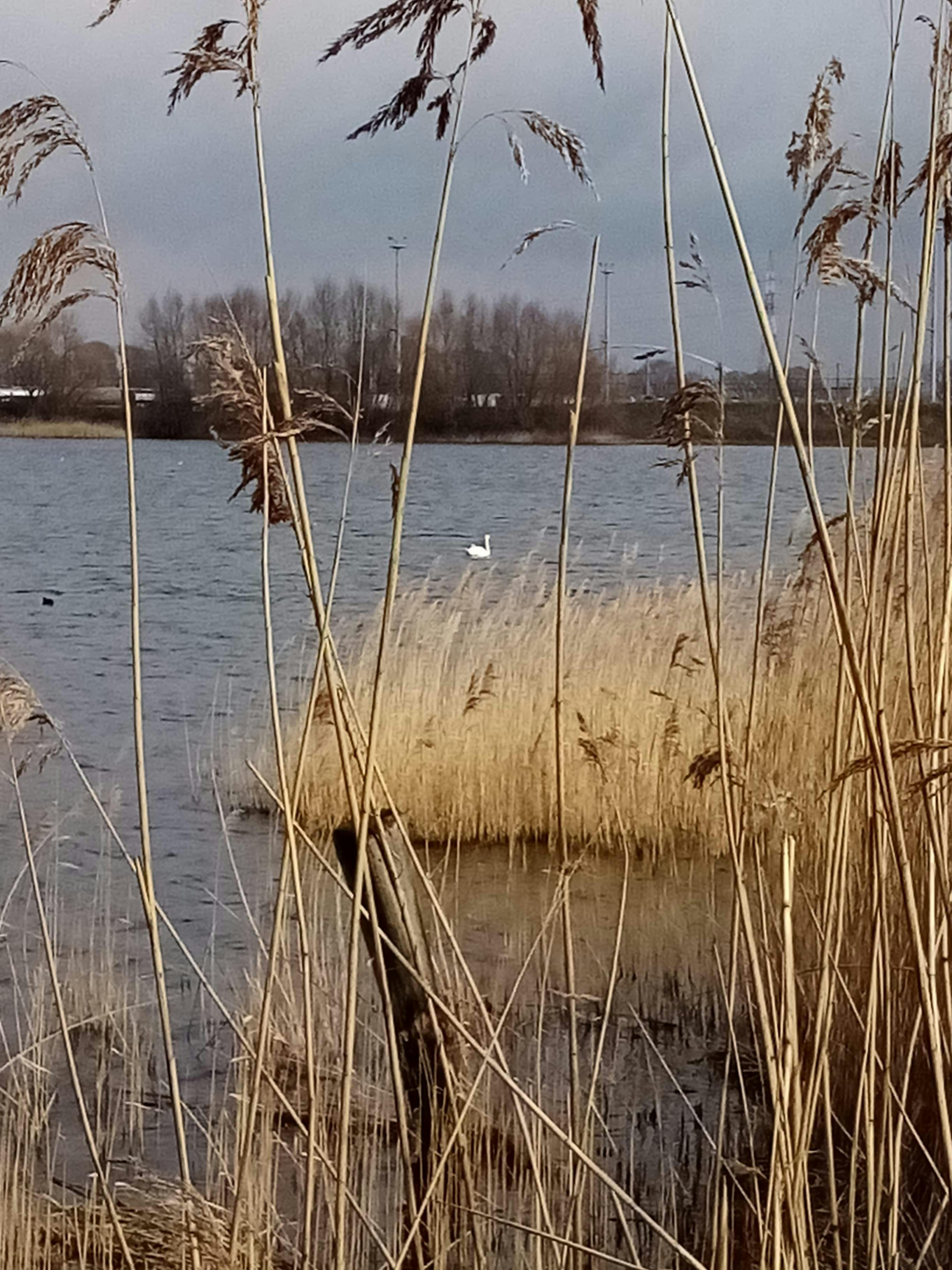 Older adult in consultation with a doctor discussing brain health options