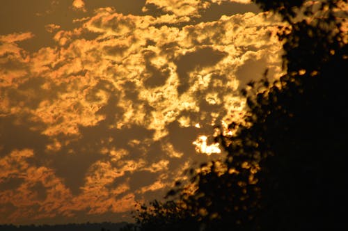 Fotos de stock gratuitas de puesta de sol, sol de tarde, sol dorado