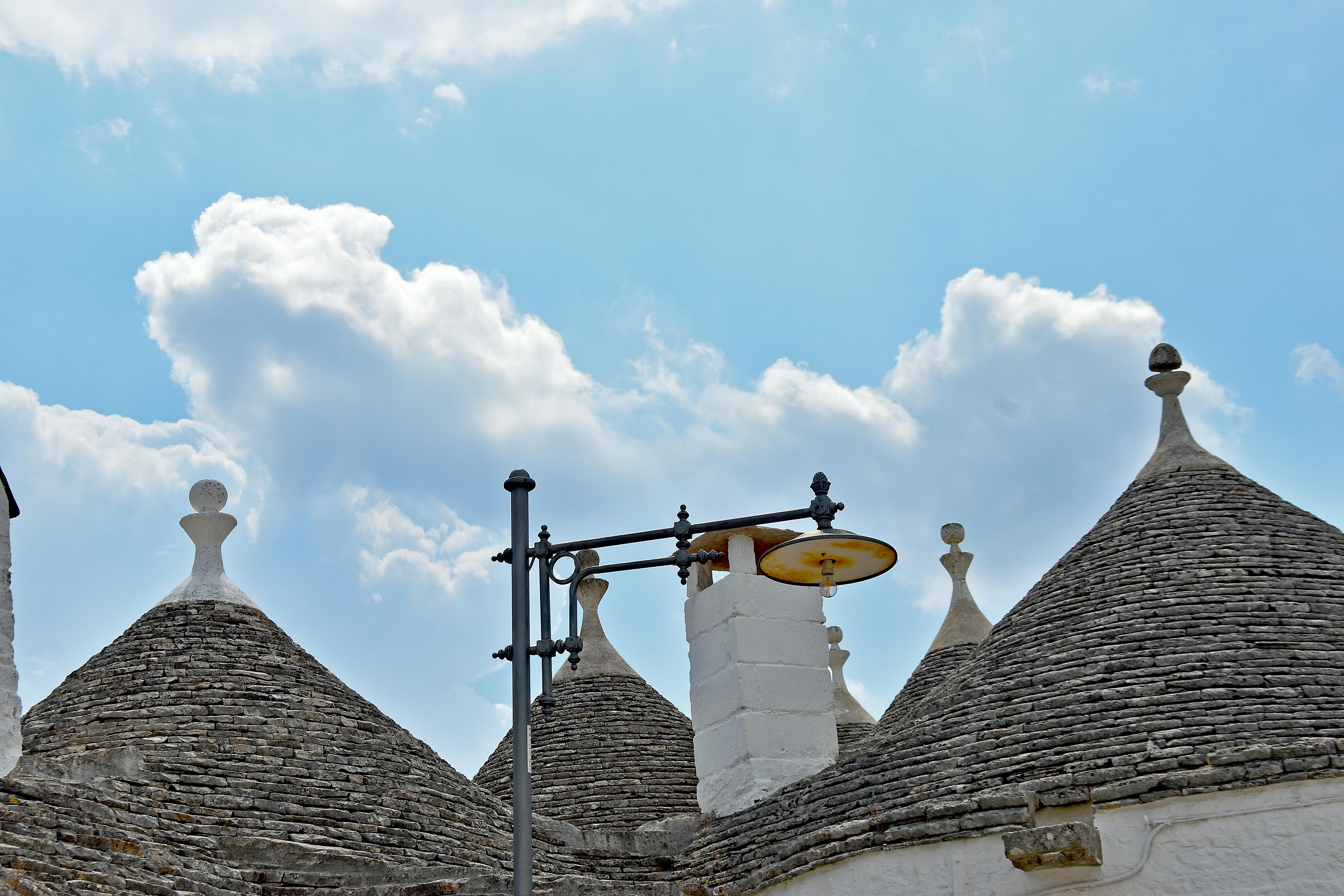 Insurance policyholder checking digital BioScore data on smartphone