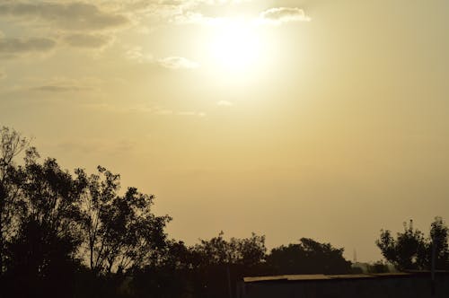Fotos de stock gratuitas de sol de tarde, sol dorado