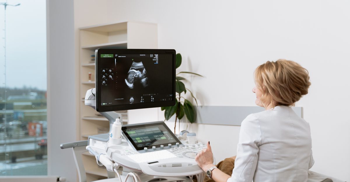 Thyroid health before and during pregnancy image 2