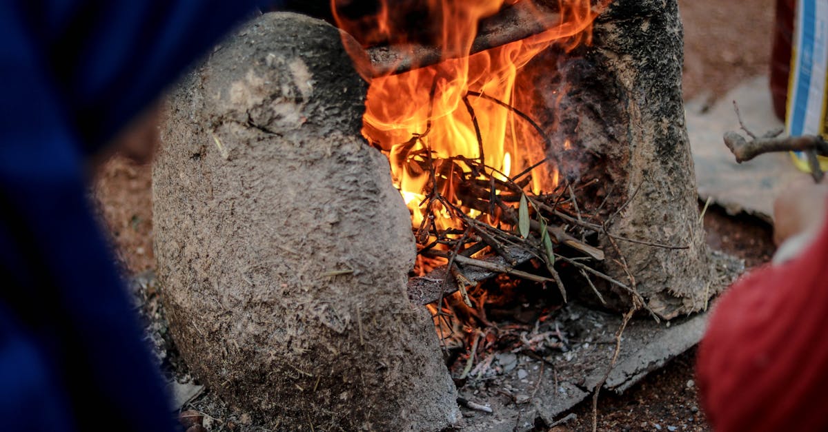 How to get rid of fire ants