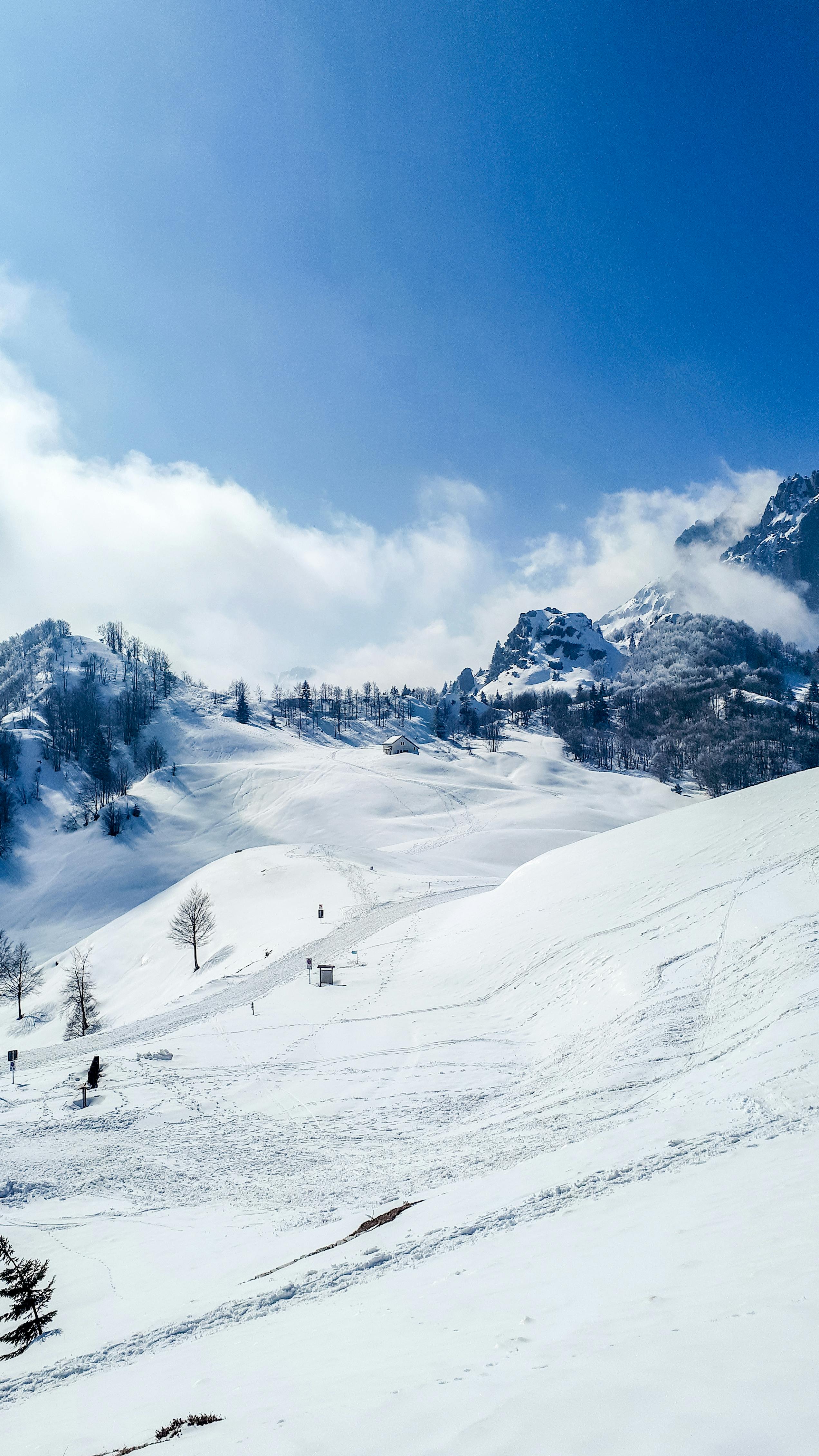 The San Juan Mountains · Free Stock Photo